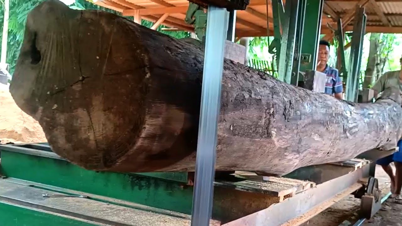 Sawing beautiful, grained old teak wood worth hundreds of dollars 