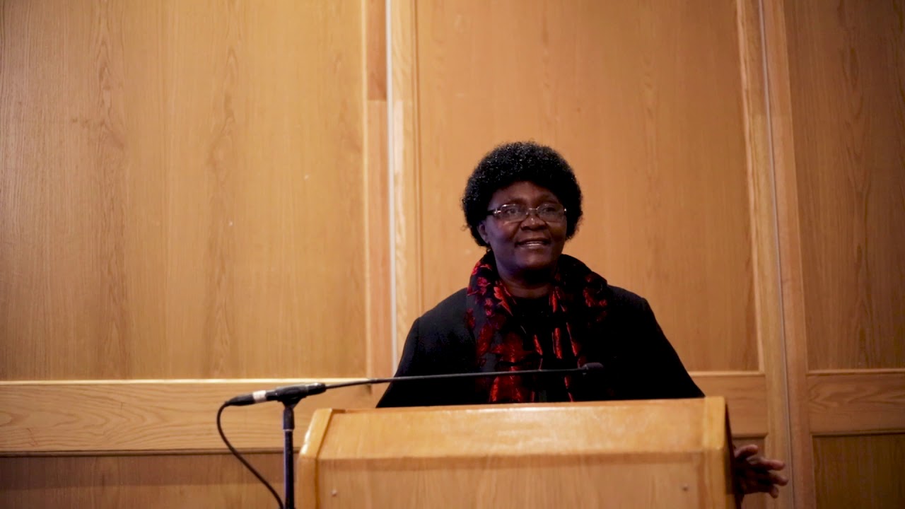 Lawyers Without Borders, Combating Gender and Domestic Violence Training.