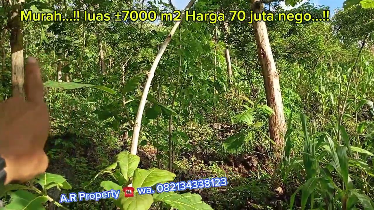#tanahmurah, Luas ±7000 m2 legalitas leter C, Harga 70 juta//Nego tipis...!!!