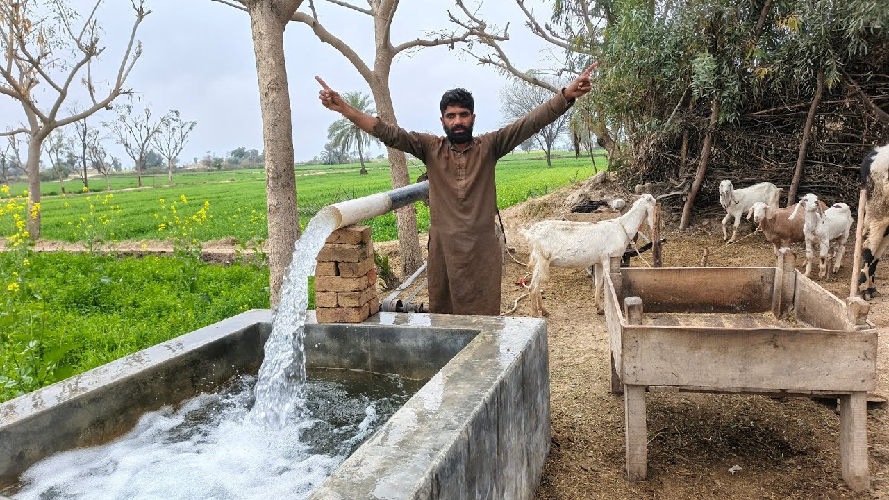 Aaj tubewell Ka Pani pahle se bahut jyada tha