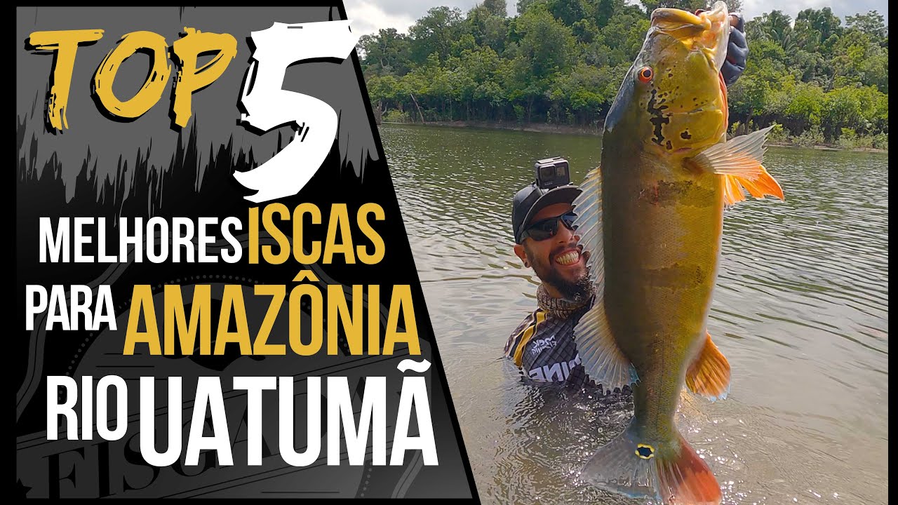TOP 5 - MELHORES ISCAS PARA AMAZÔNIA (RIO UATUMÃ)