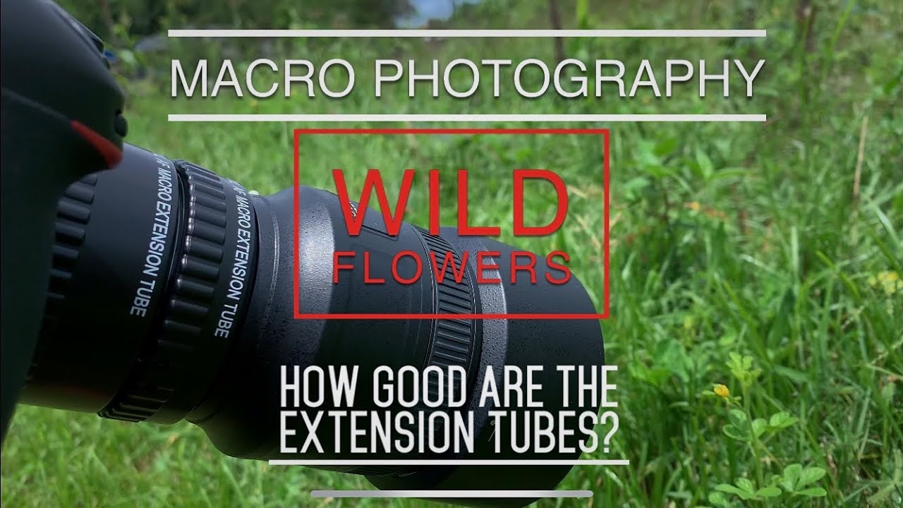 Macro Photography: WILD FLOWERS || How Good Are The Extension Tubes? || Nature Photography Ideas