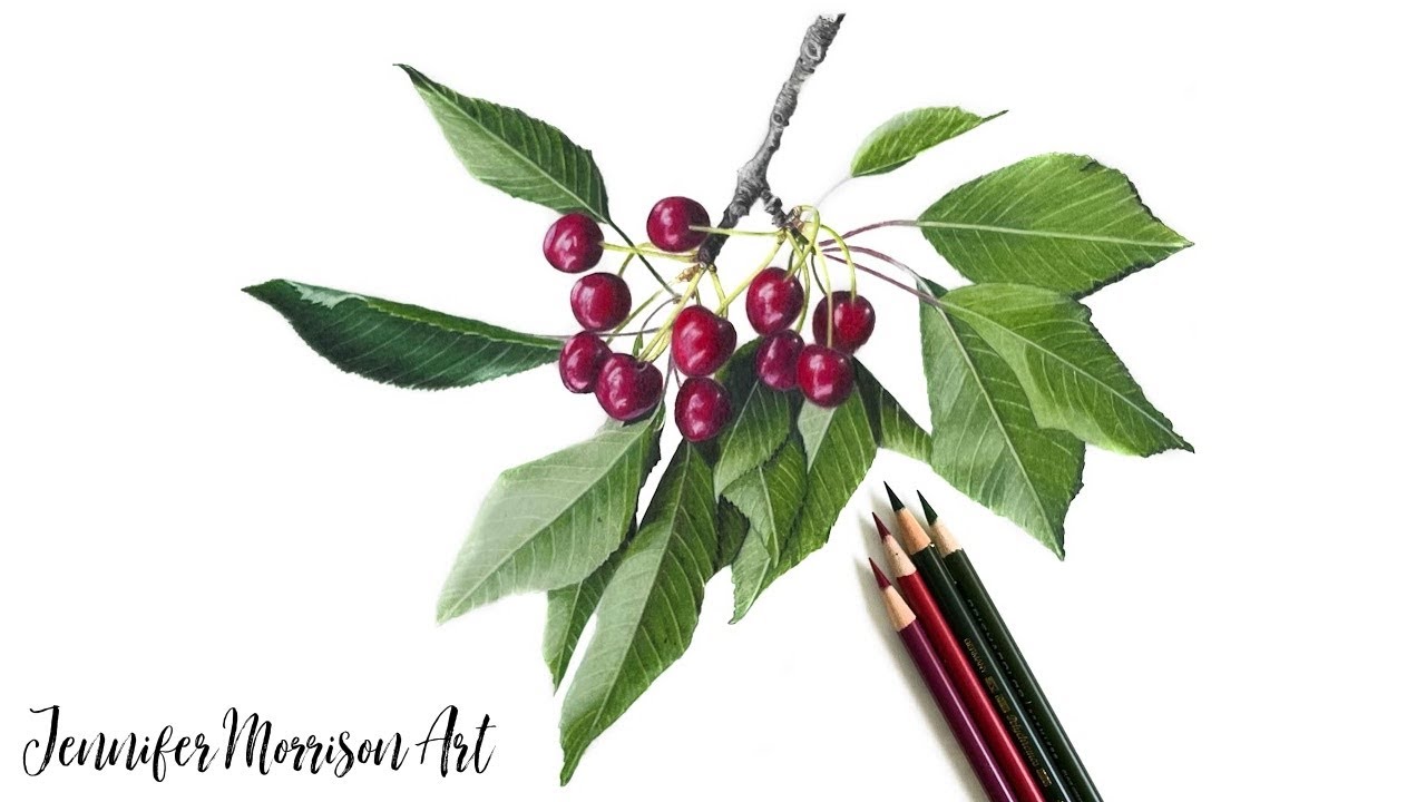 How to Draw Realistic Cherries with Leaves using Colored Pencils