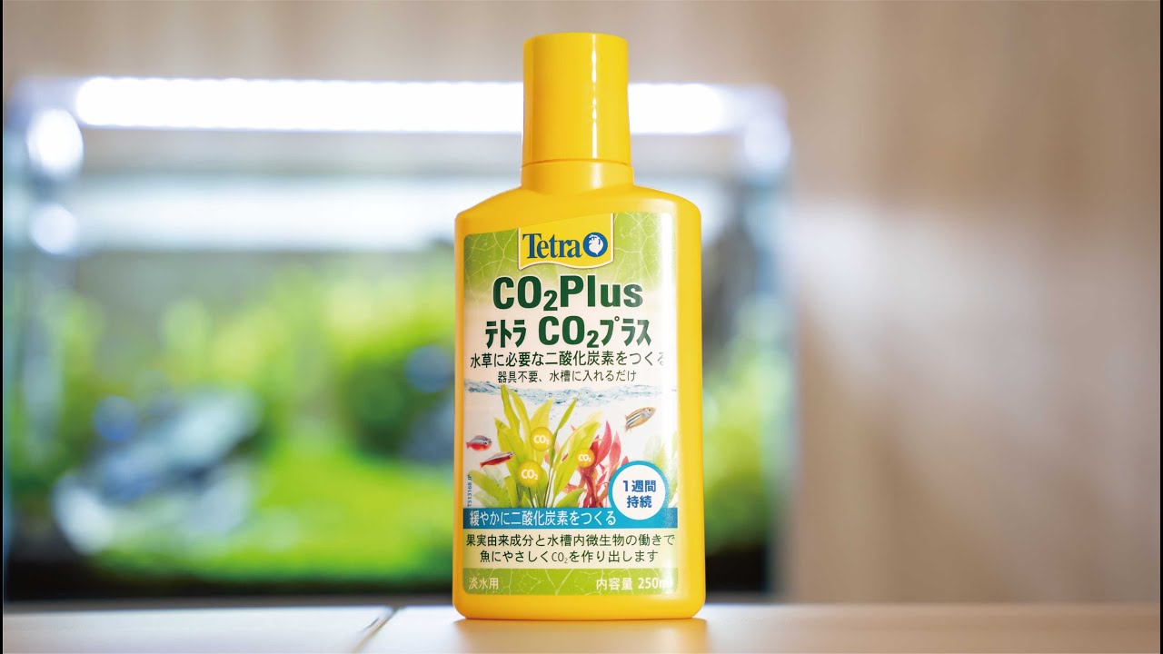 添加装置は使わずこれだけ！テトラCO2プラス/アクアリウム