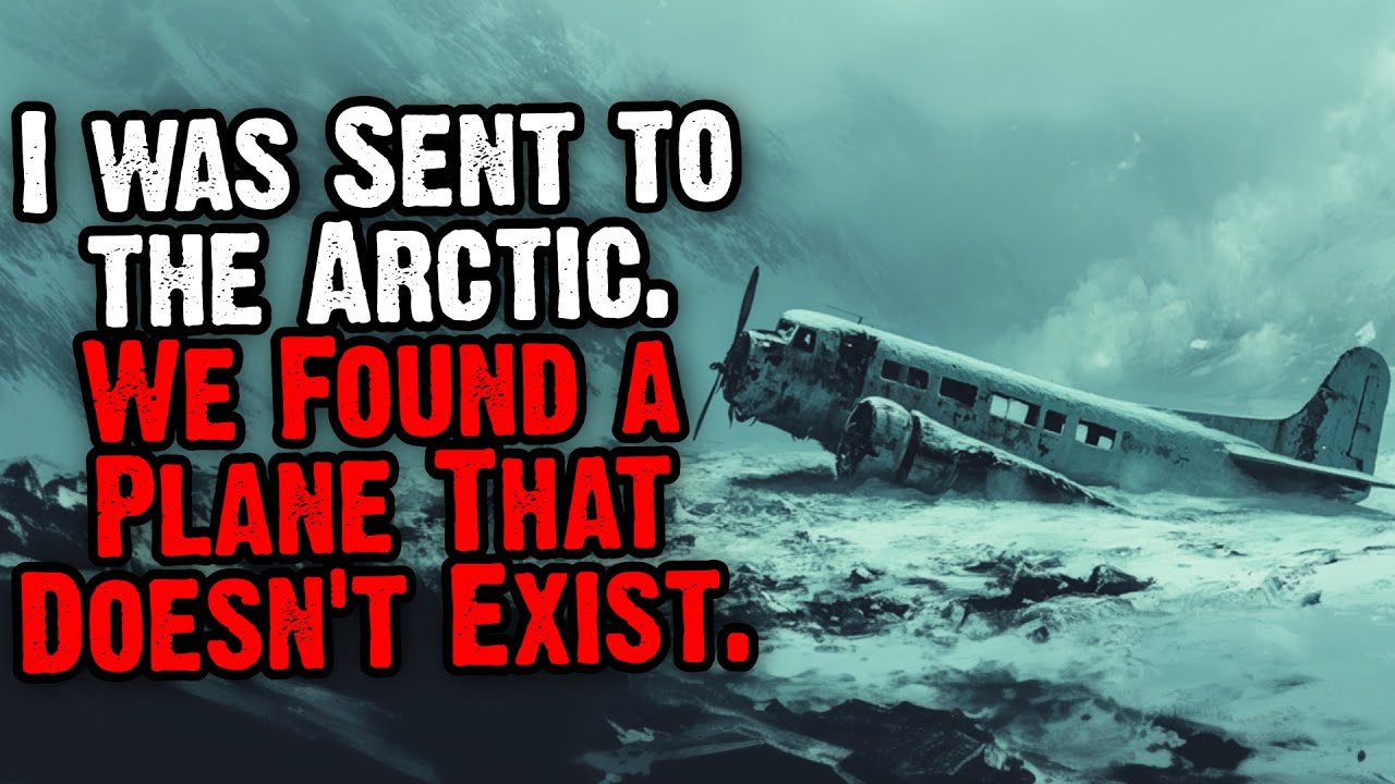 I Was Sent To The Arctic. We Found A Plane That Doesn't Exist.