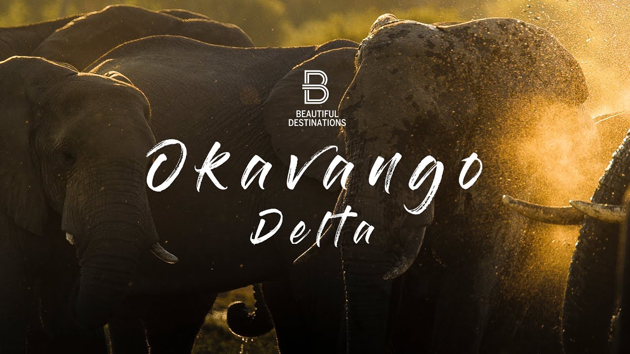 Botswana&rsquo;s Okavango Delta - Heaven on Earth