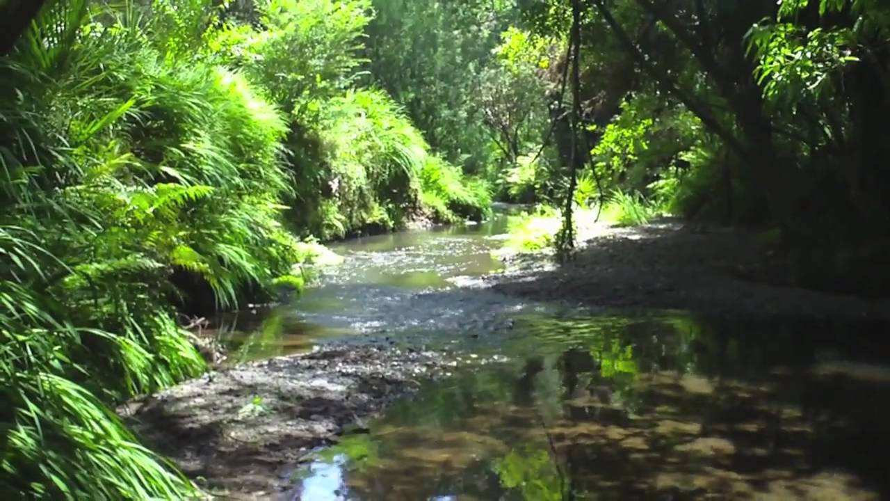 Sunrise Valley Farm - For Sale
