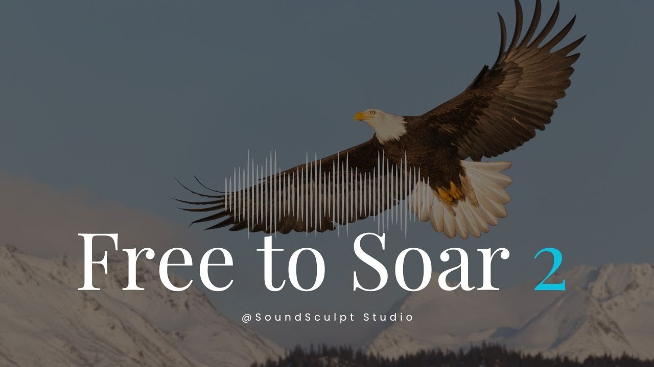 FREE TO SOAR 2