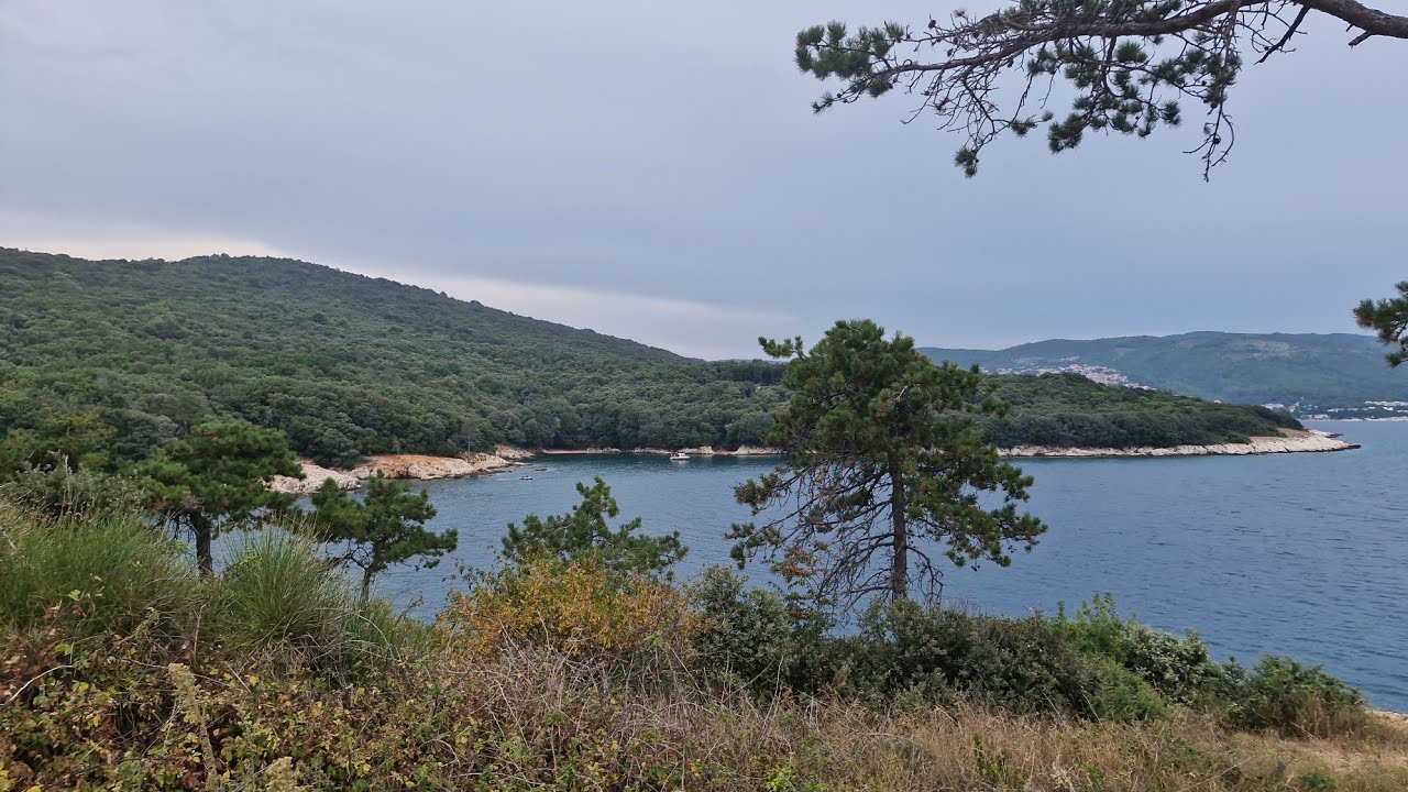 Duga Luka 2025.