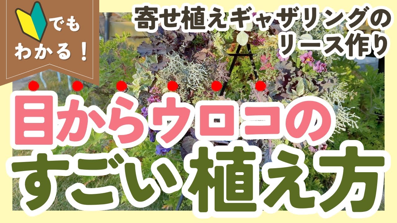 【コラボ回】寄せ植えギャザリングのリース作りオンラインレッスン💐植えてすぐ飾れて美しい❤️【ガーデニング】【園芸】