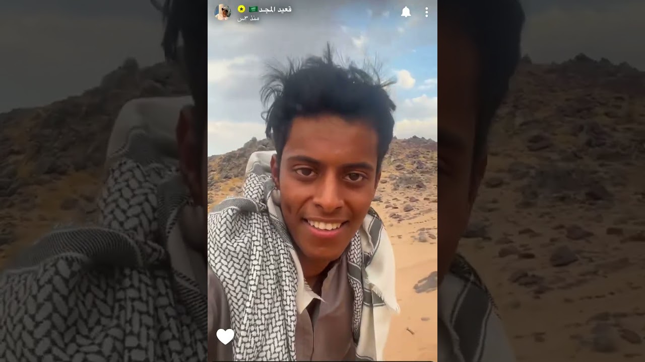 قعيد المجد عند نياق ابوي 3