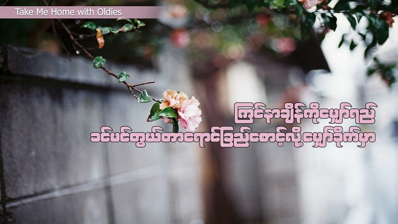 ရင်ခွင်သစ် - တာရာ