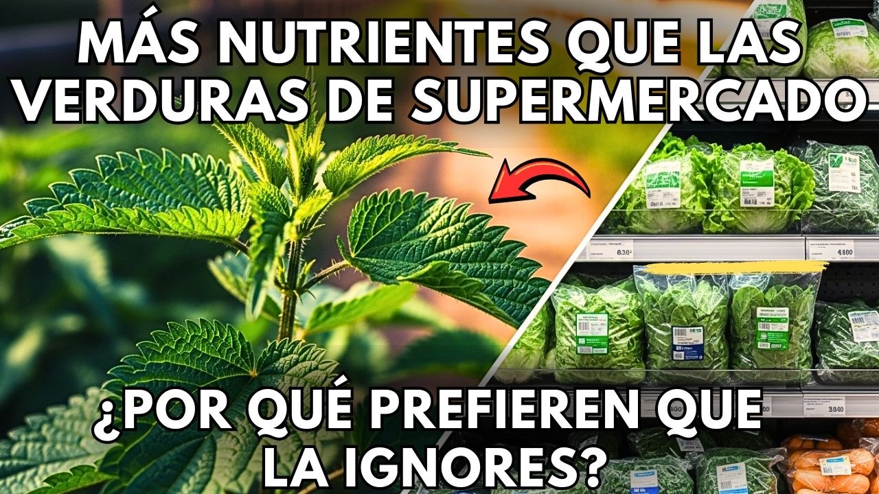 Más Nutrientes Que Verduras De Supermercado. ¿Por Qué Un Alimento Completo Se Trata Con Desprecio?