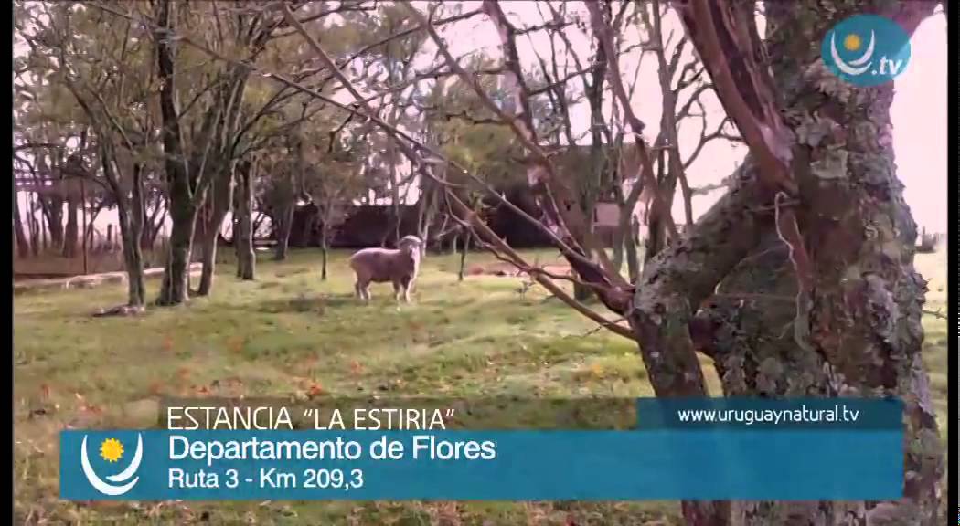 VISITANDO LA ESTIRIA