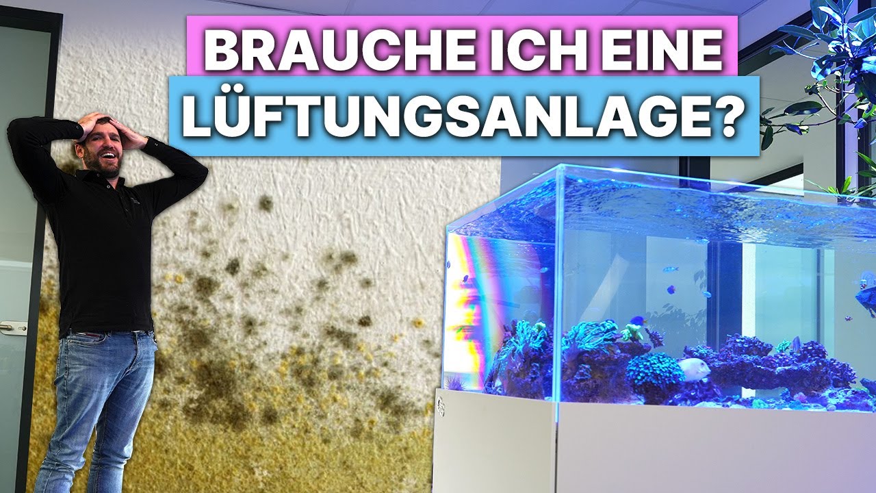 Zentrale VS Dezentrale LÜFTUNGSANLAGE - Was braucht mein Haus?!
