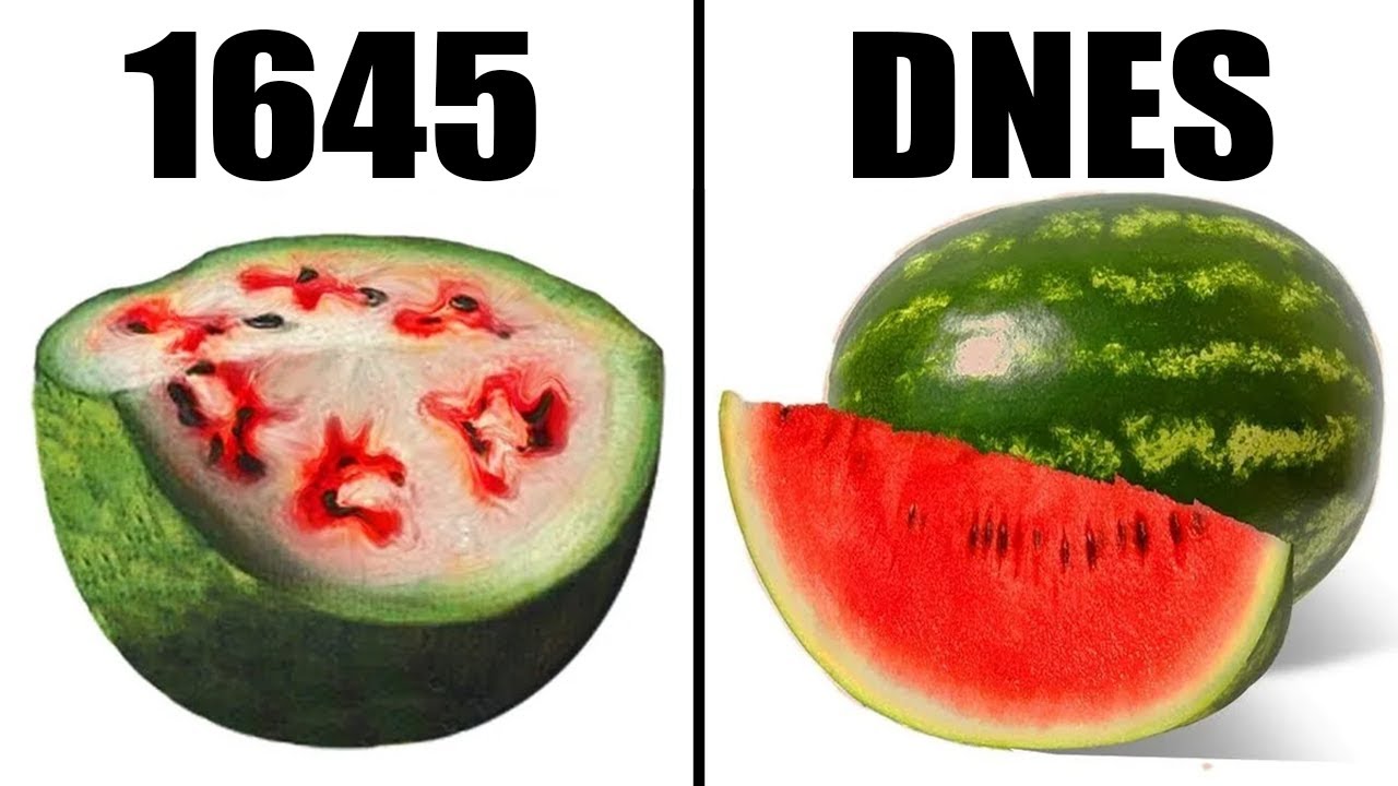JAK VYPADALA ZELENINA A OVOCE DŘ&Iacute;VE VS. DNES