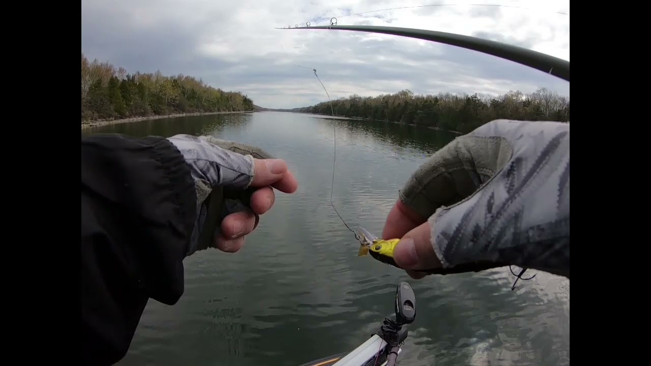Pike Pickerel Pointer 100
