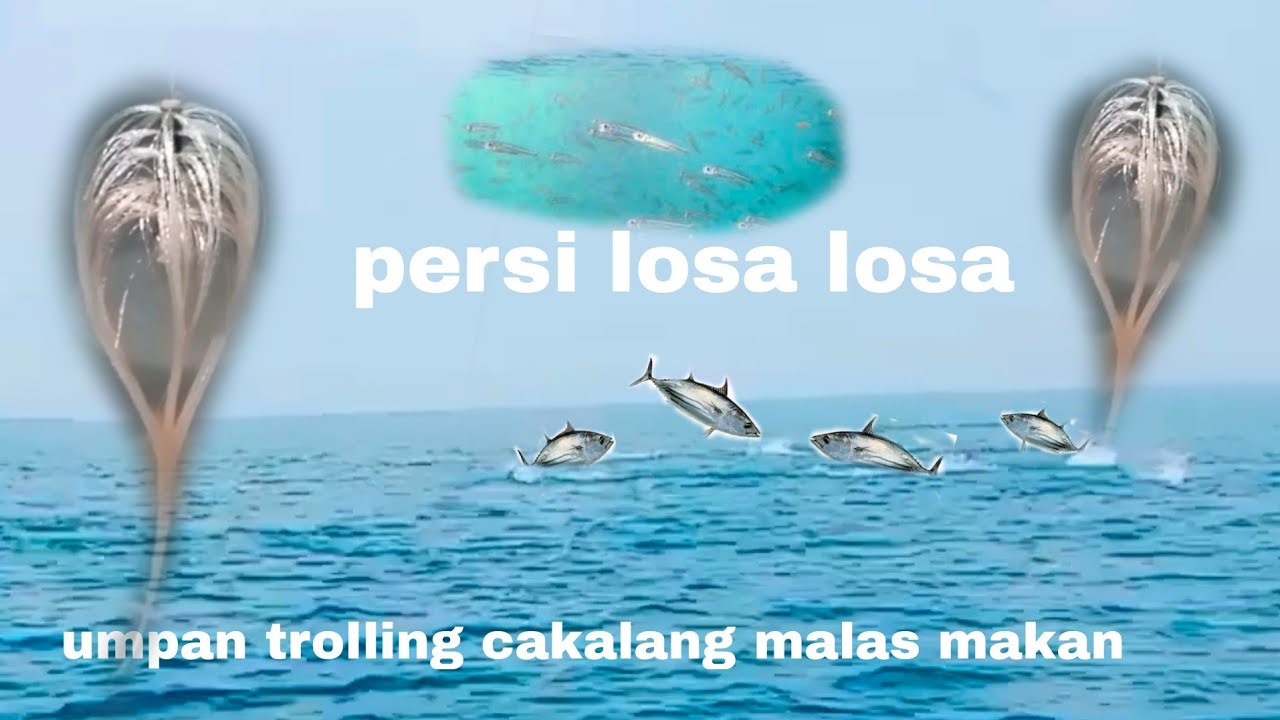 Umpan terbaik persi losa losa ketika lure masih sebesar ujung lidi #papa RETTE mania