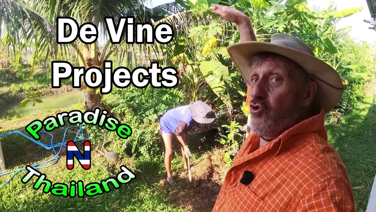 От Vine Projects