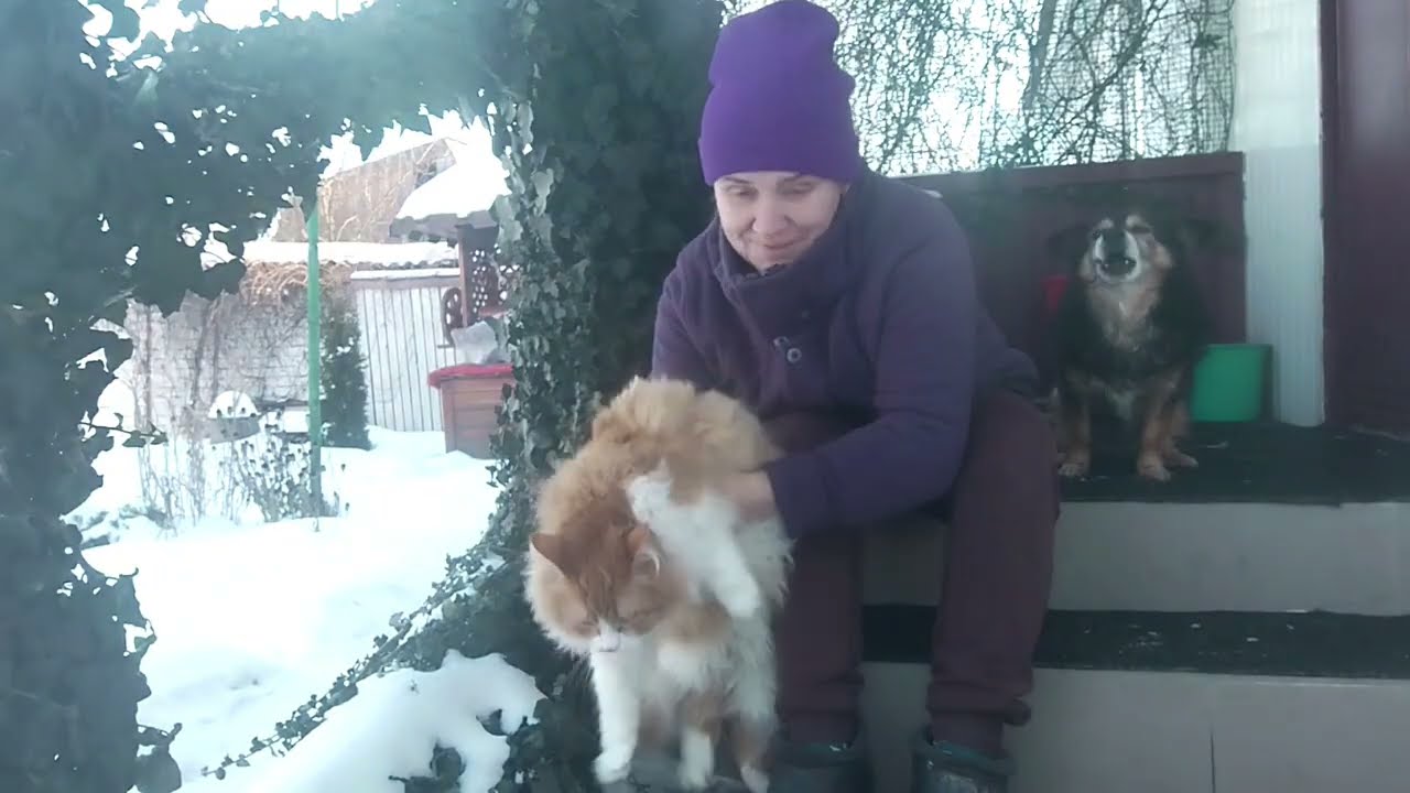 Коли виховуєш кота,а пес бере участь 🫣 Я не очікувала такої реакції собаки !!