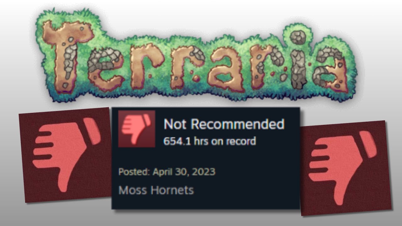 How Valid Are Terraria's Negative Reviews?