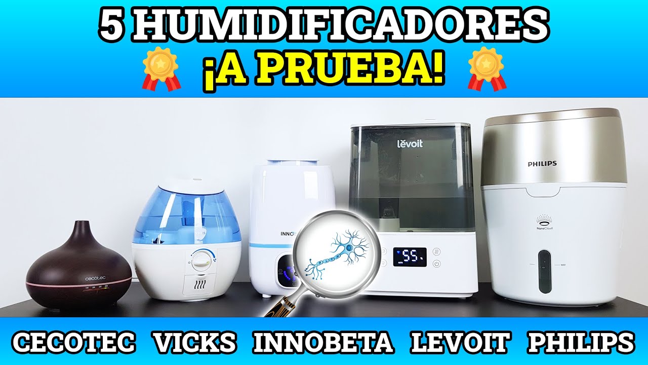 ¿Para Qué Sirve Un Humidificador? ¿Cuál Es El Mejor? Información Útil Para Tu Compra