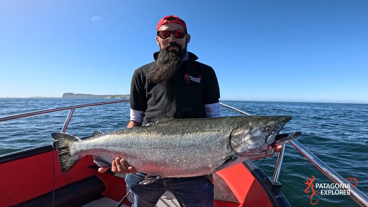 PESCA DE SALMÓN CHINOOK EN CHILE