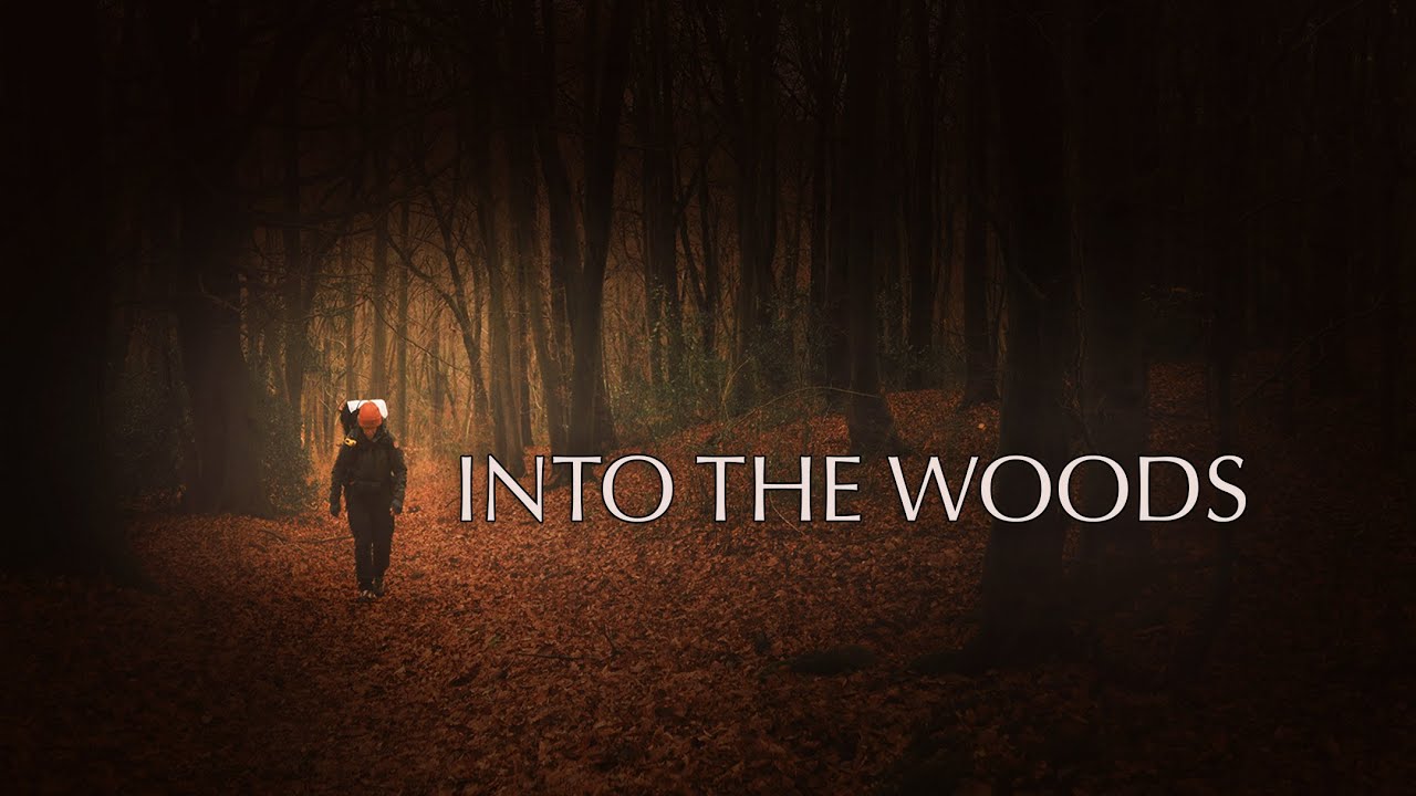 Calming, Silent Hiking in the Chiltern Hills | Buckinghamshire, England