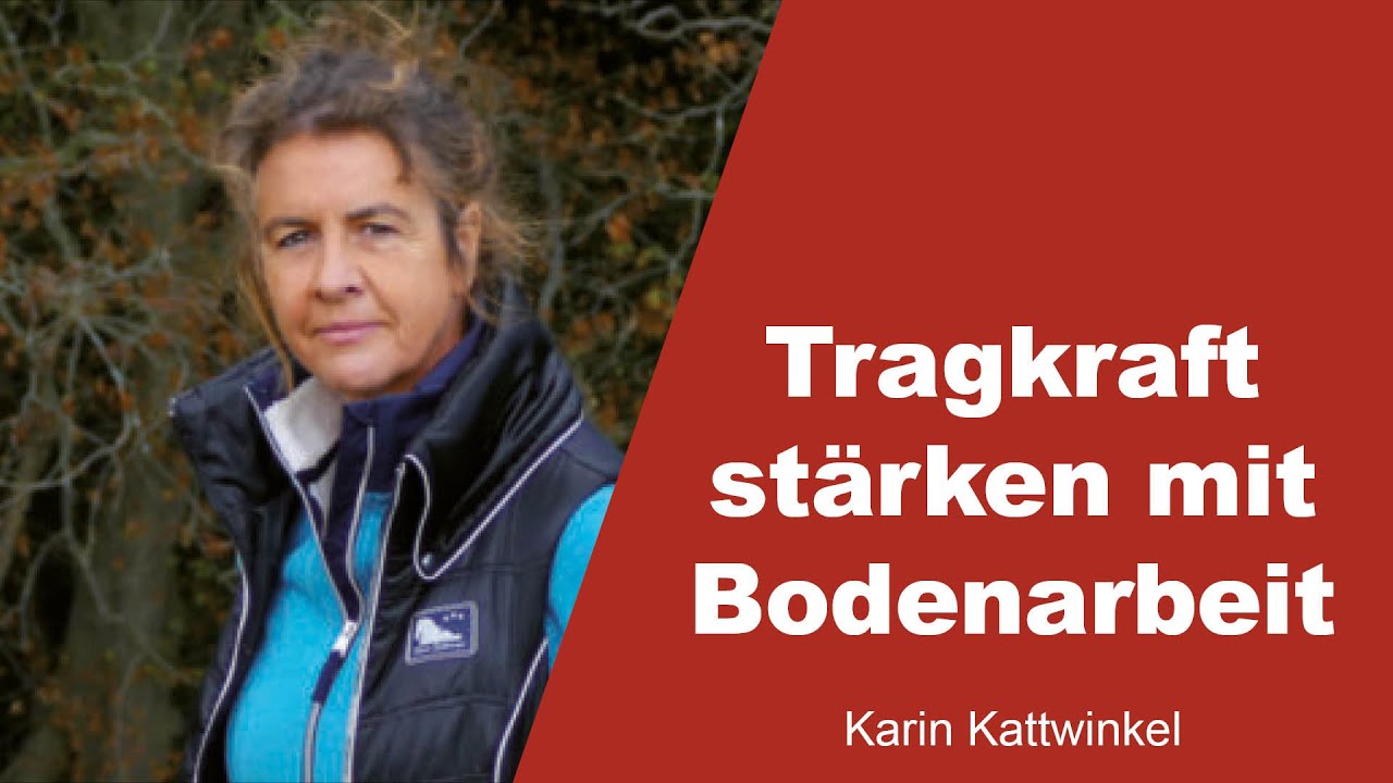 Tragkraft vom Pferd stärken mit Bodenarbeit - Karin Kattwinkel - 1
