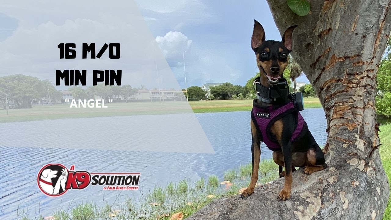 16 M/O MIN PIN 