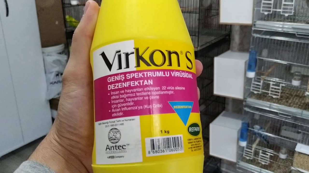 Muhabbet Kuşlarında Dezenfektan (Virkon S) Kullanımı