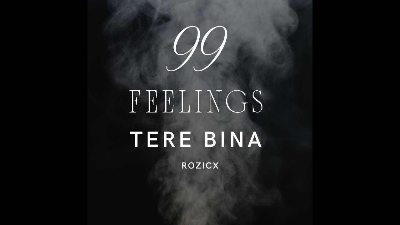 16. TERE BINA - RozicX || 99 FEELINGS