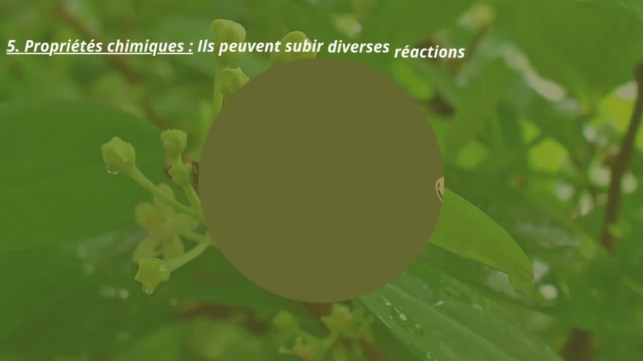 les alcalo&iuml;des partie 01 (groupe23)
