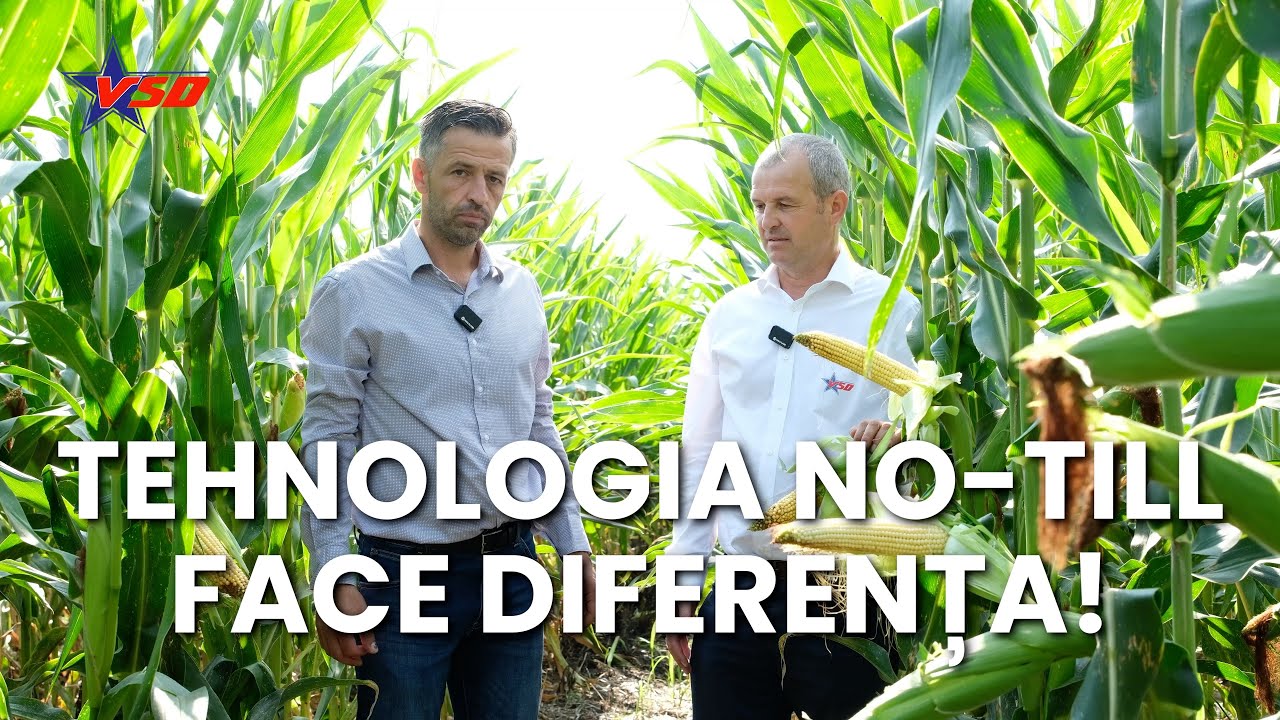 După ce a testat mai multe semănători, Dan Grădinaru a ales VSD 100% NO TILL!