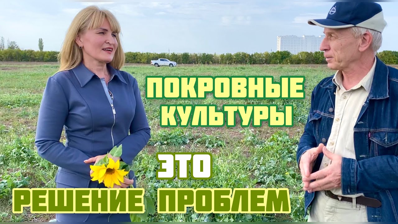 Покровные культуры - это путь решения проблем с почвой
