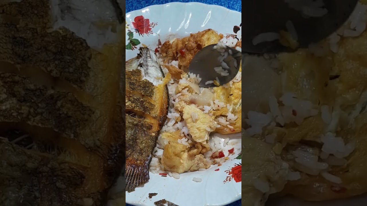 ข้าวราดจานเดียวปลาสลิดไข่ทอดค่ะ@ประดิษฐ์ขาย สู่ทำ
