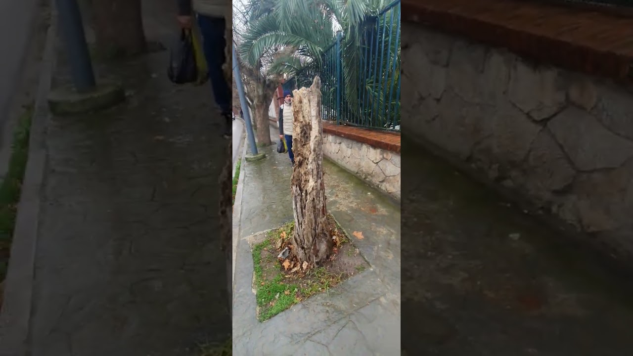Annaba 2026  مدينة عنابة بعيون عنابية  عنابة  Annaba