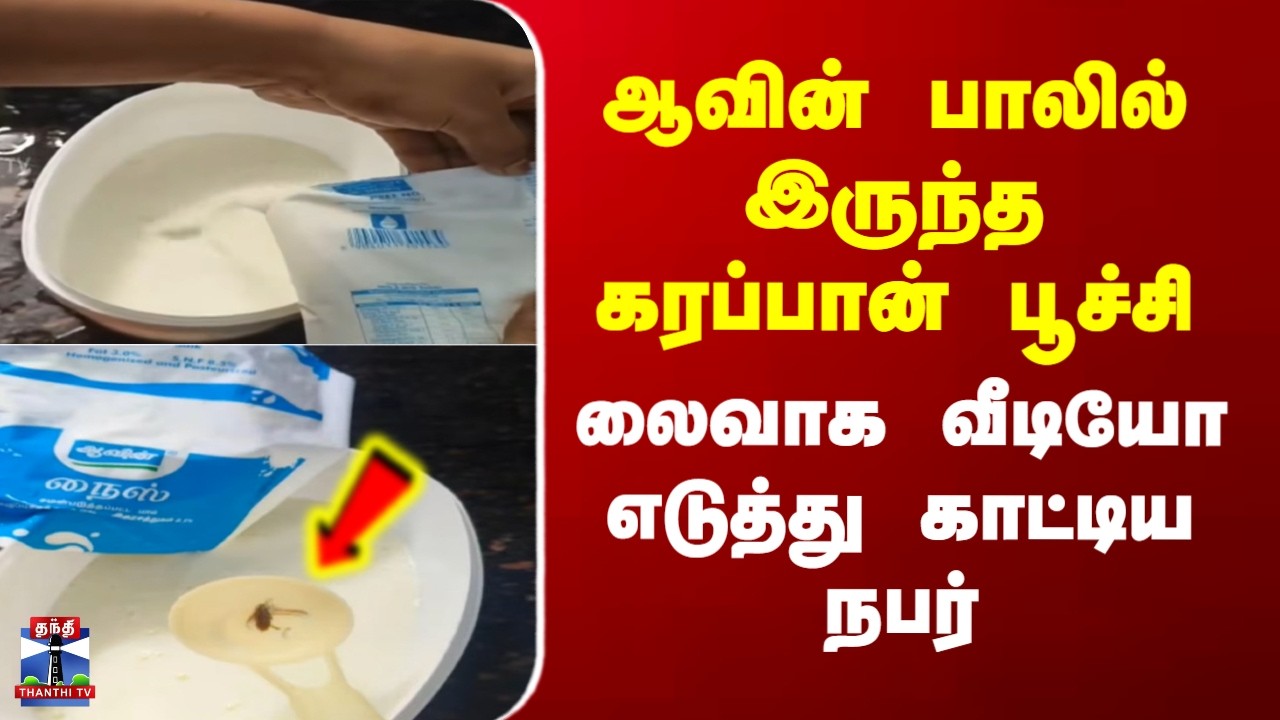 Aavin Milk | Viral Video | ஆவின் பாலில் இருந்த கரப்பான் பூச்சி -  லைவாக வீடியோ எடுத்து காட்டிய நபர்