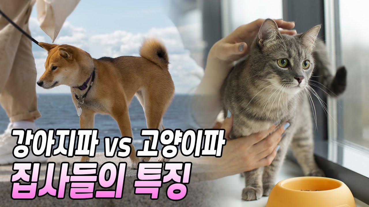 강아지를 키우는 사람과 고양이를 키우는 사람의 차이점