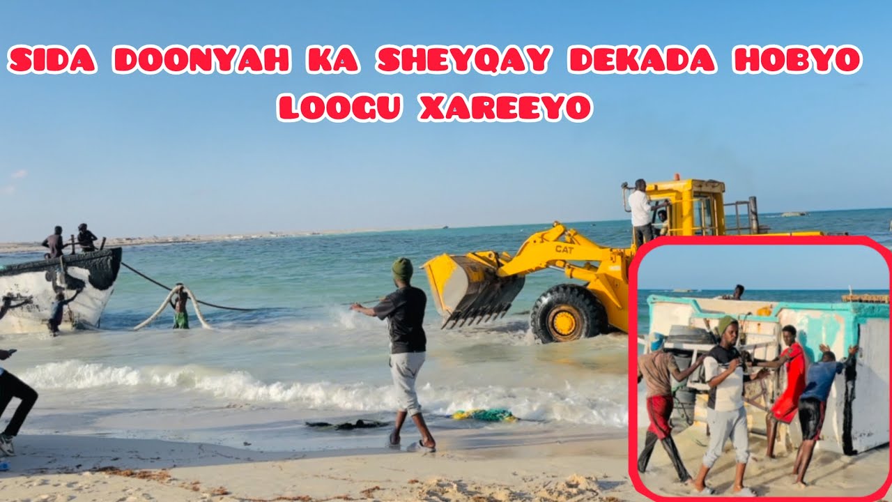 sida doonyah ka sheyqay dekada hobyoloogu xareeyo #share #like