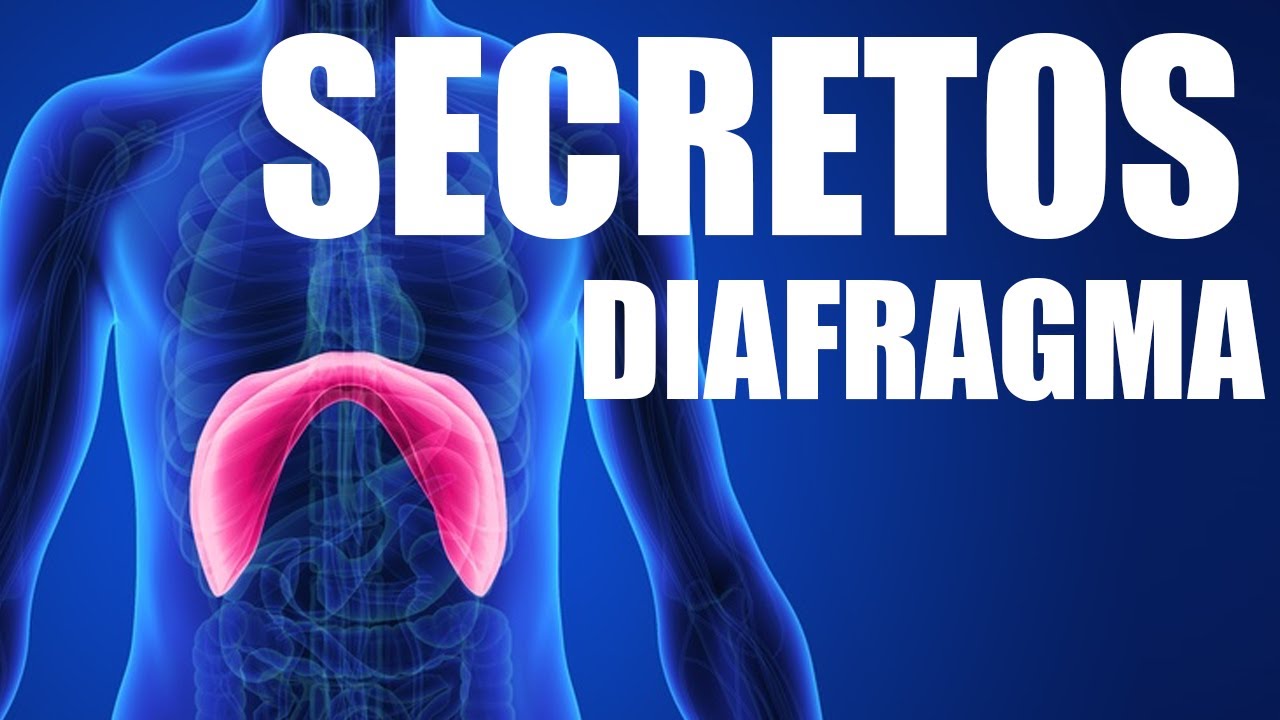 LOS SECRETOS DEL DIAFRAGMA EN TU RUTINA DE EJERCICIOS