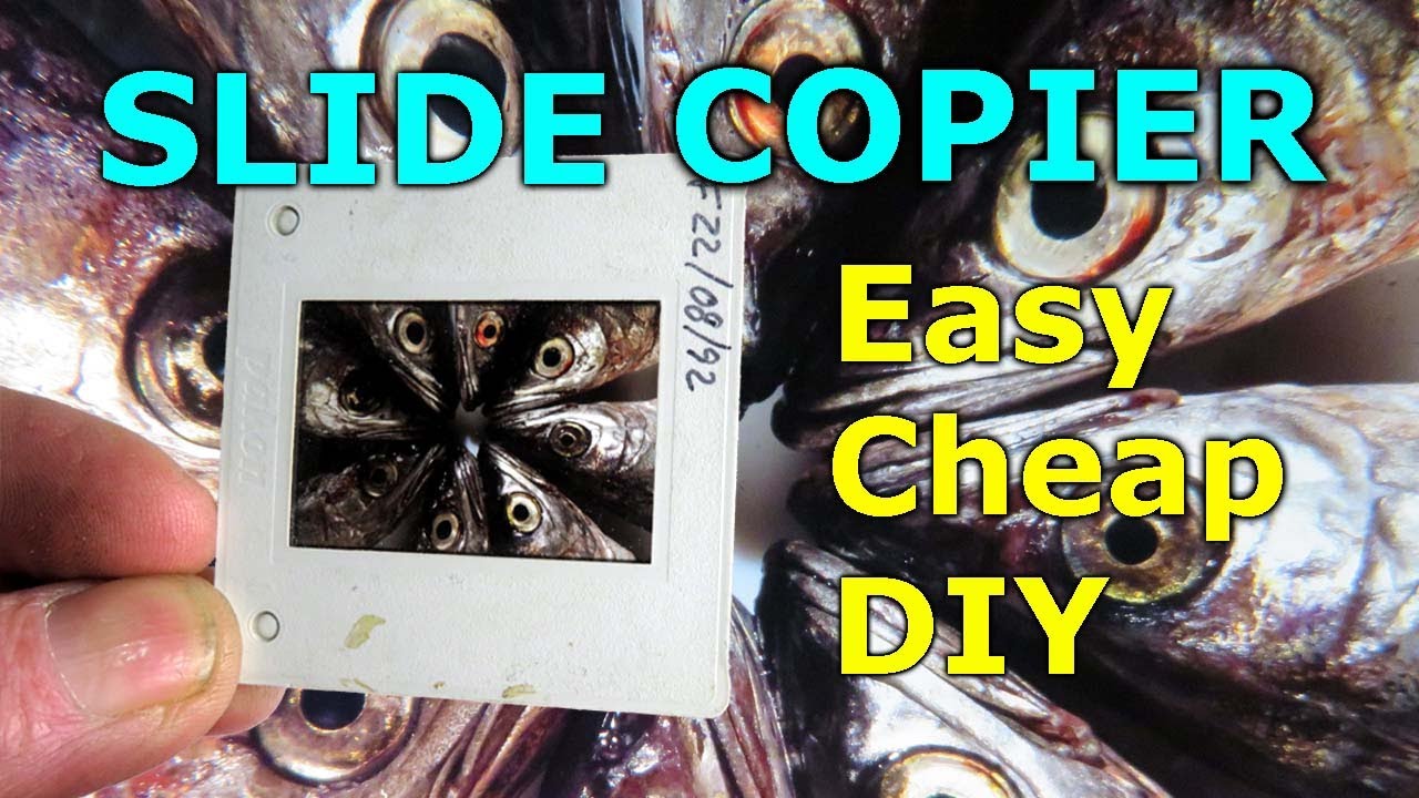 How to Make  a Slide Copier - Cheap and Easy