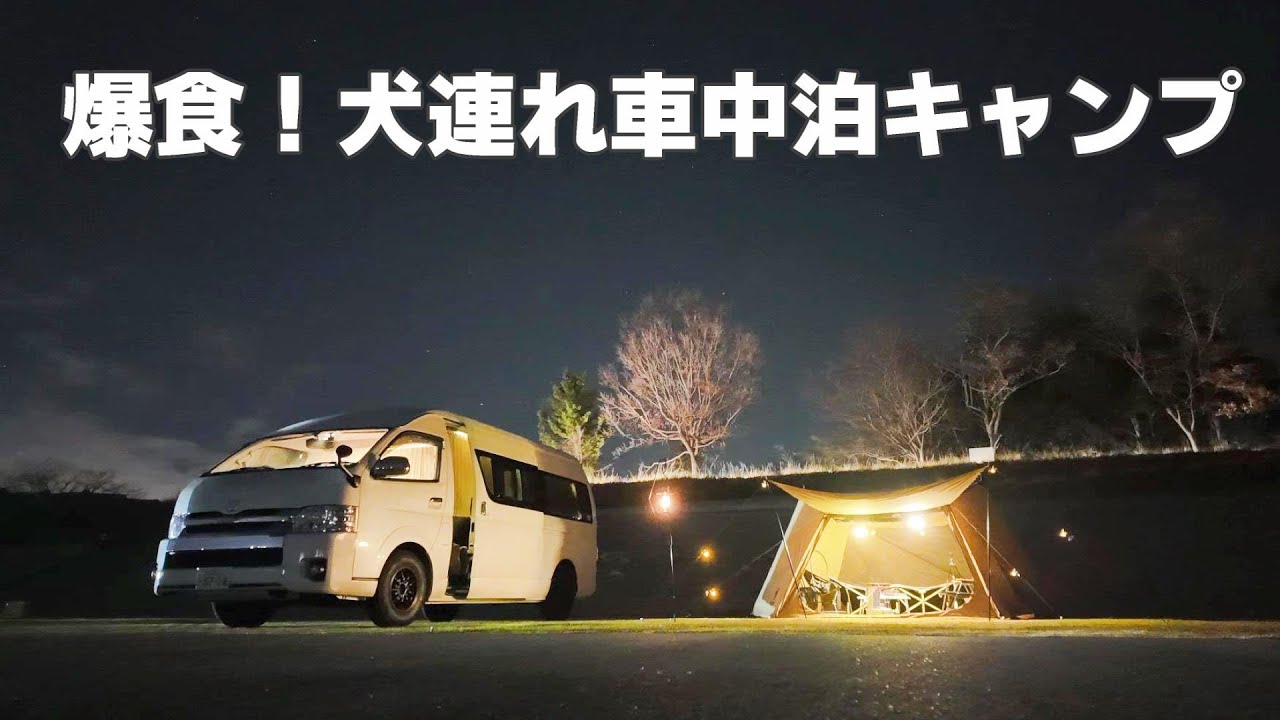納車したばかりのキャンピングカーで犬連れ車中泊キャンプ！【レクビィ：プラスSL＋1】