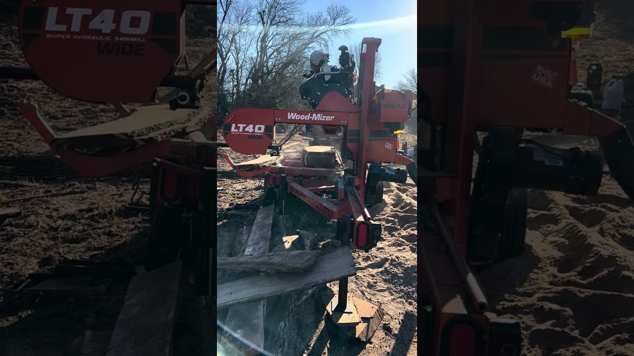 Sawmill processing walnut 