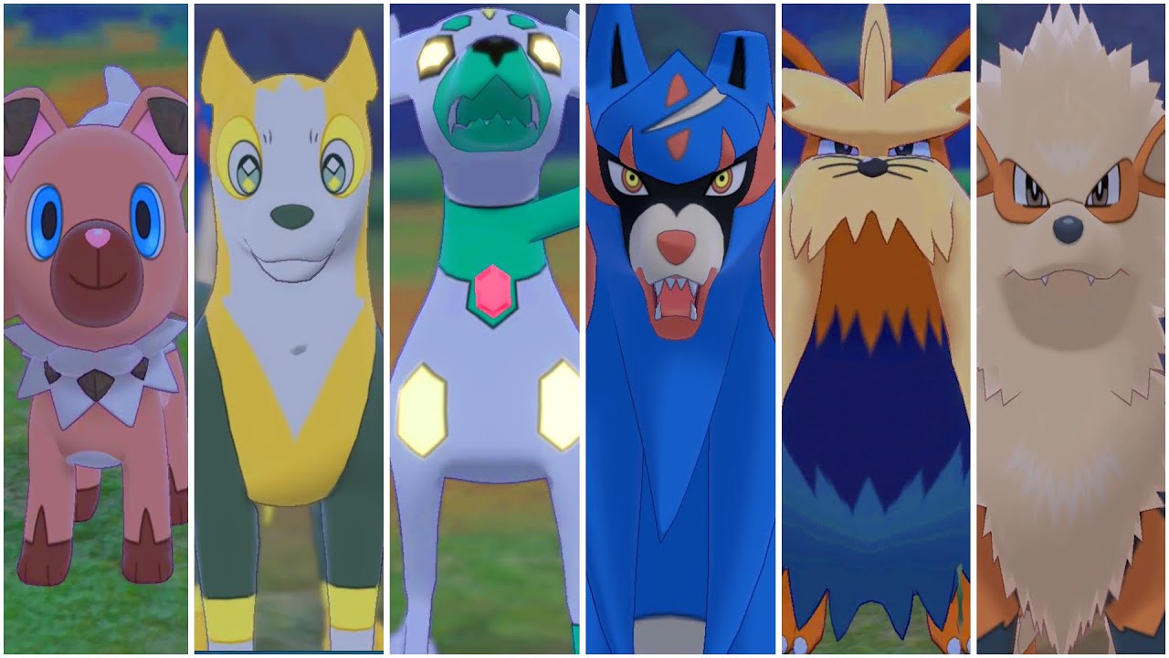 FULL DOG POKEMON TEAM ! Zygarde 10% , Boltund , Zacian ( Crown Tundra Edition )