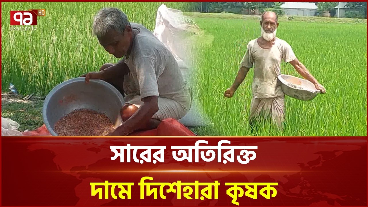 লালমনিহাটে সার সিন্ডিকেটে ডিলাররা, ভুগছে কৃষক | Lalmonirhat | Fertilizer | Ekattor TV