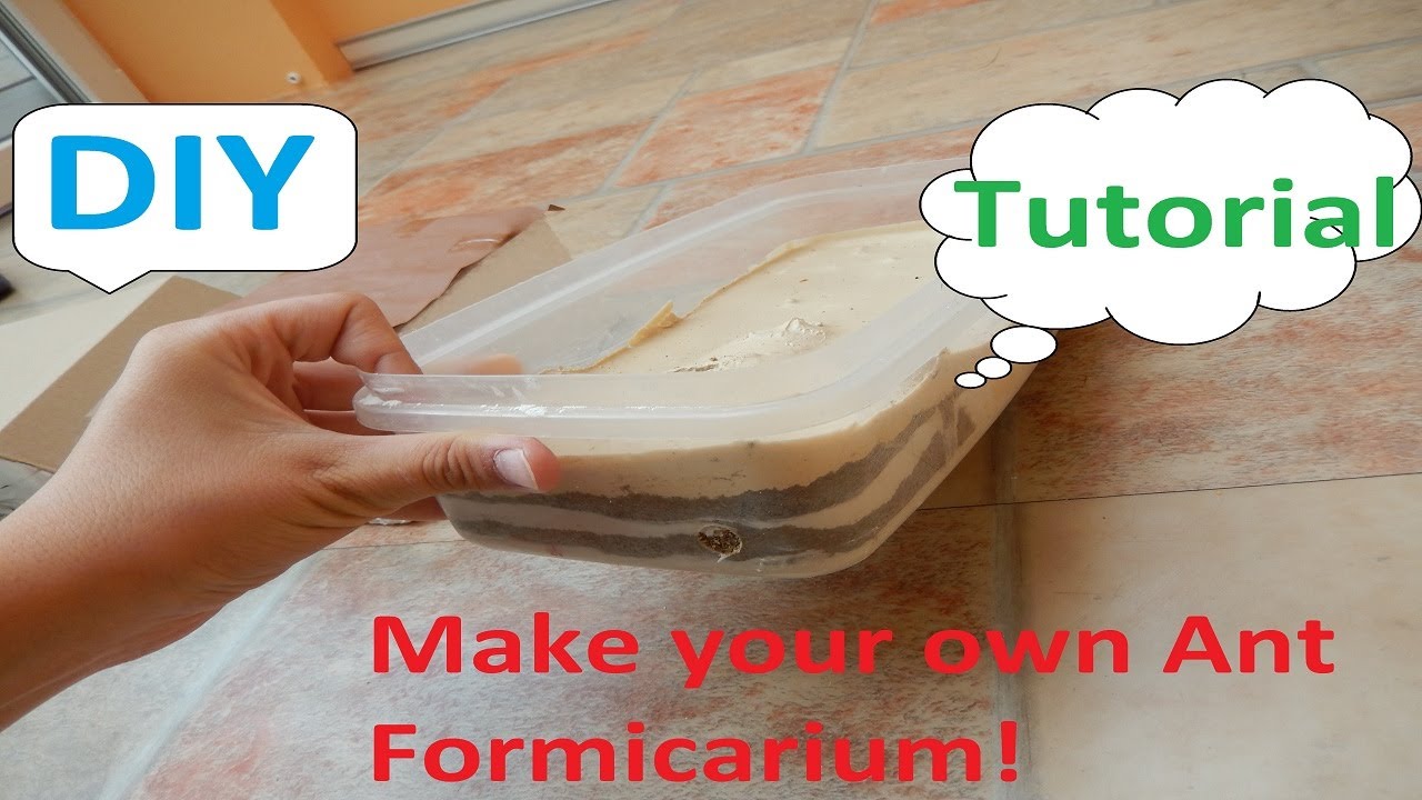 AntsCzech - How to make Formicarium /DIY /Tutorial