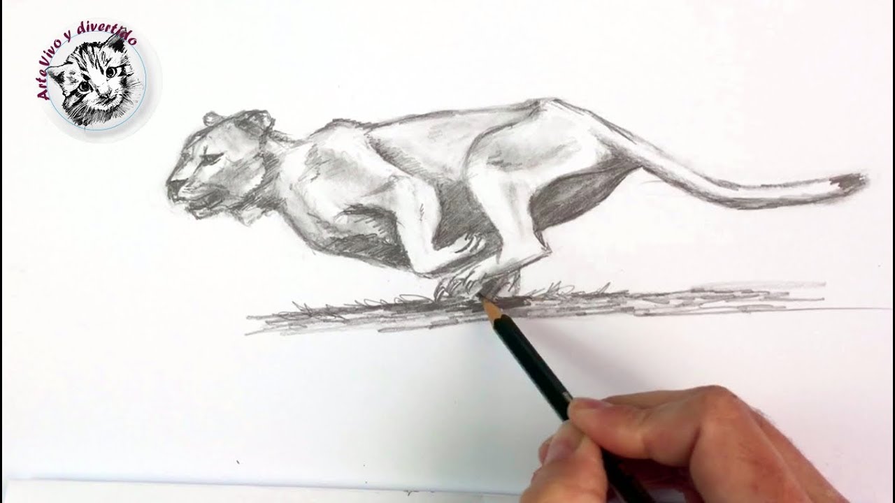 Como Dibujar una Leona Cazando | Tecnicas de Dibujo a Lapiz