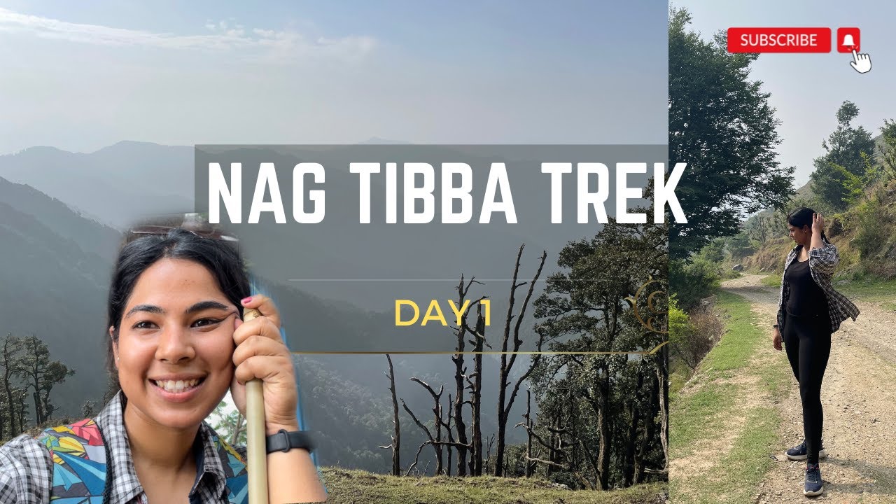 Nag tibba trek | Part 1: Base camp | Easy trek in Dehradun | Dehradun to Pantwari | Goat village