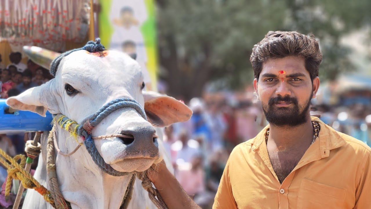BTECH రవి అన్న గారి జన్మదిన సందర్భంగా దొండ్లవాగు గ్రామం సీనియర్ 11వ జత PVDR BRO'S 💥💥